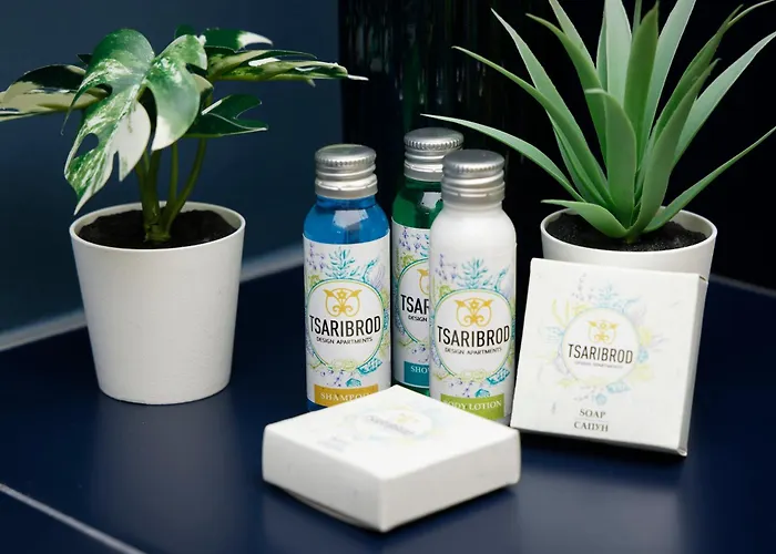 Tsaribrod Design Apartment