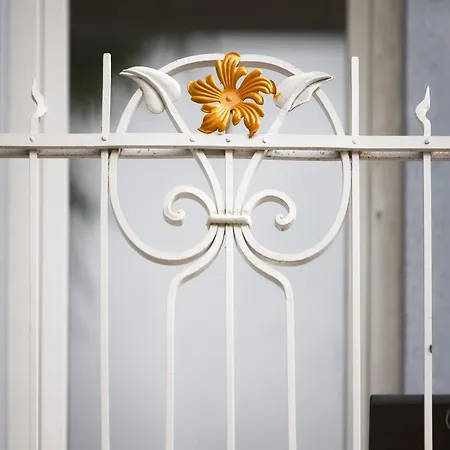 Tsaribrod Design 아파트