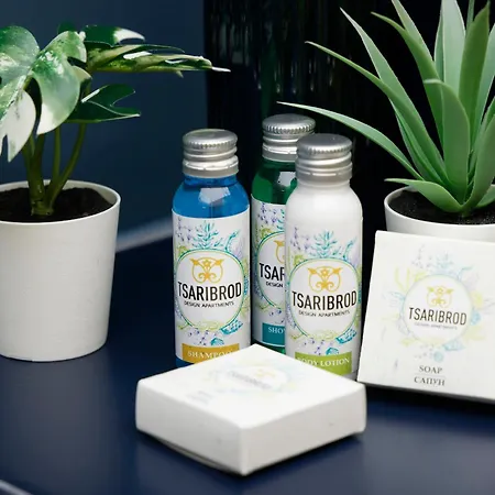 Tsaribrod Design דירה