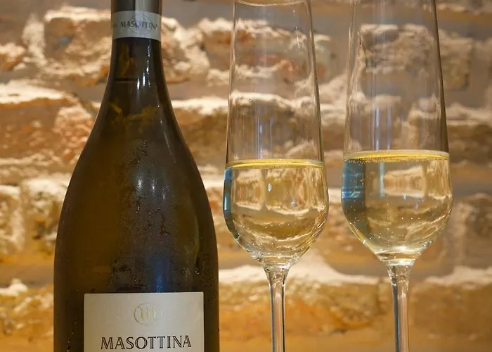 Tsaribrod Design * Varna